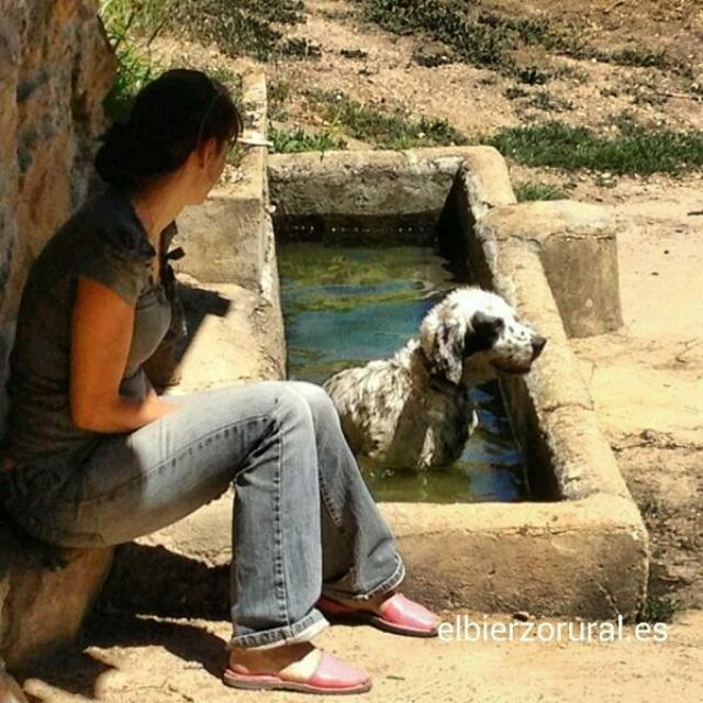 Pensjonat Casa Rural La Jara Blanca San Justo de Cabanillas Zewnętrze zdjęcie