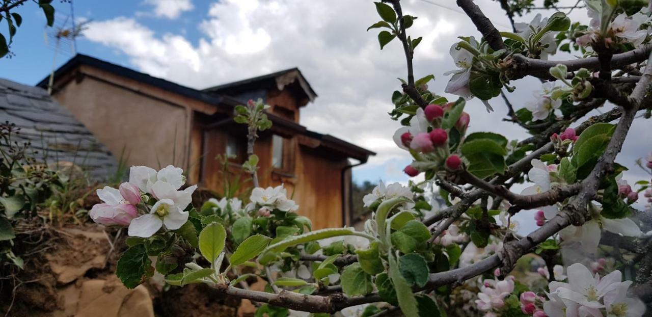 Pensjonat Casa Rural La Jara Blanca San Justo de Cabanillas Zewnętrze zdjęcie